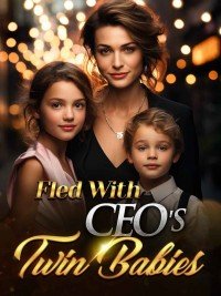 Fled With CEO's Twin Babies by Sherri Roman